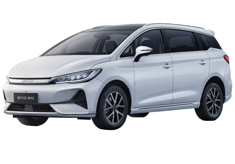 BYD M6 Dynamic