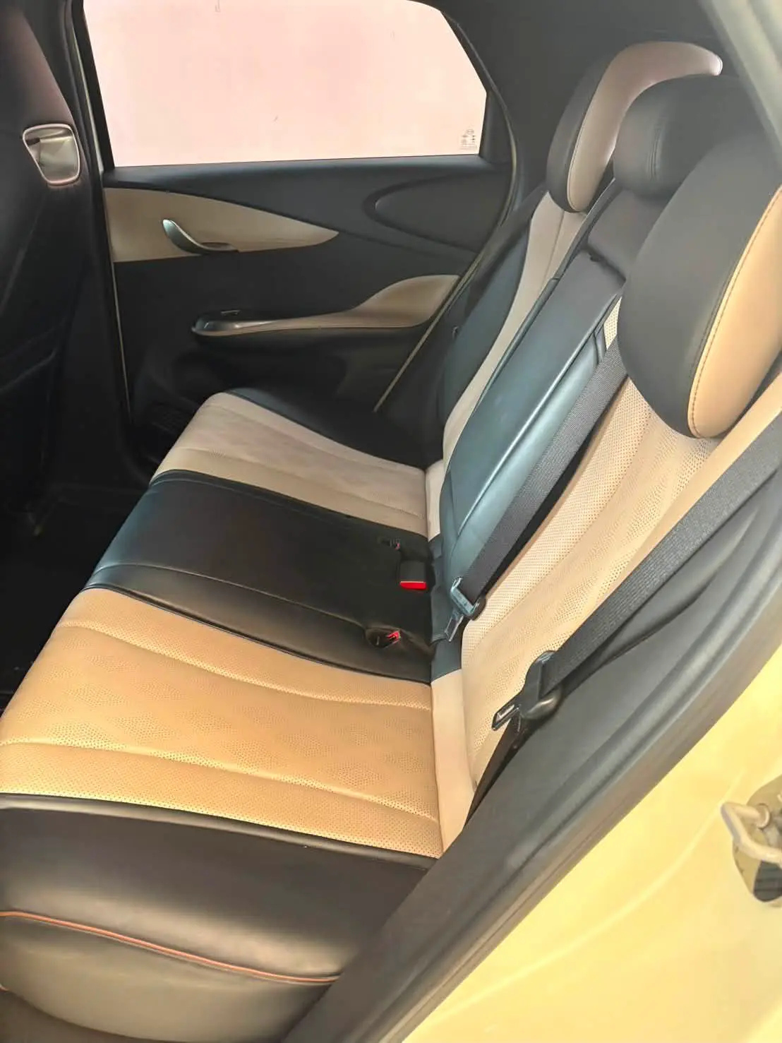 BYD Dolphin Standard Range 410 ปี 2023 · 3