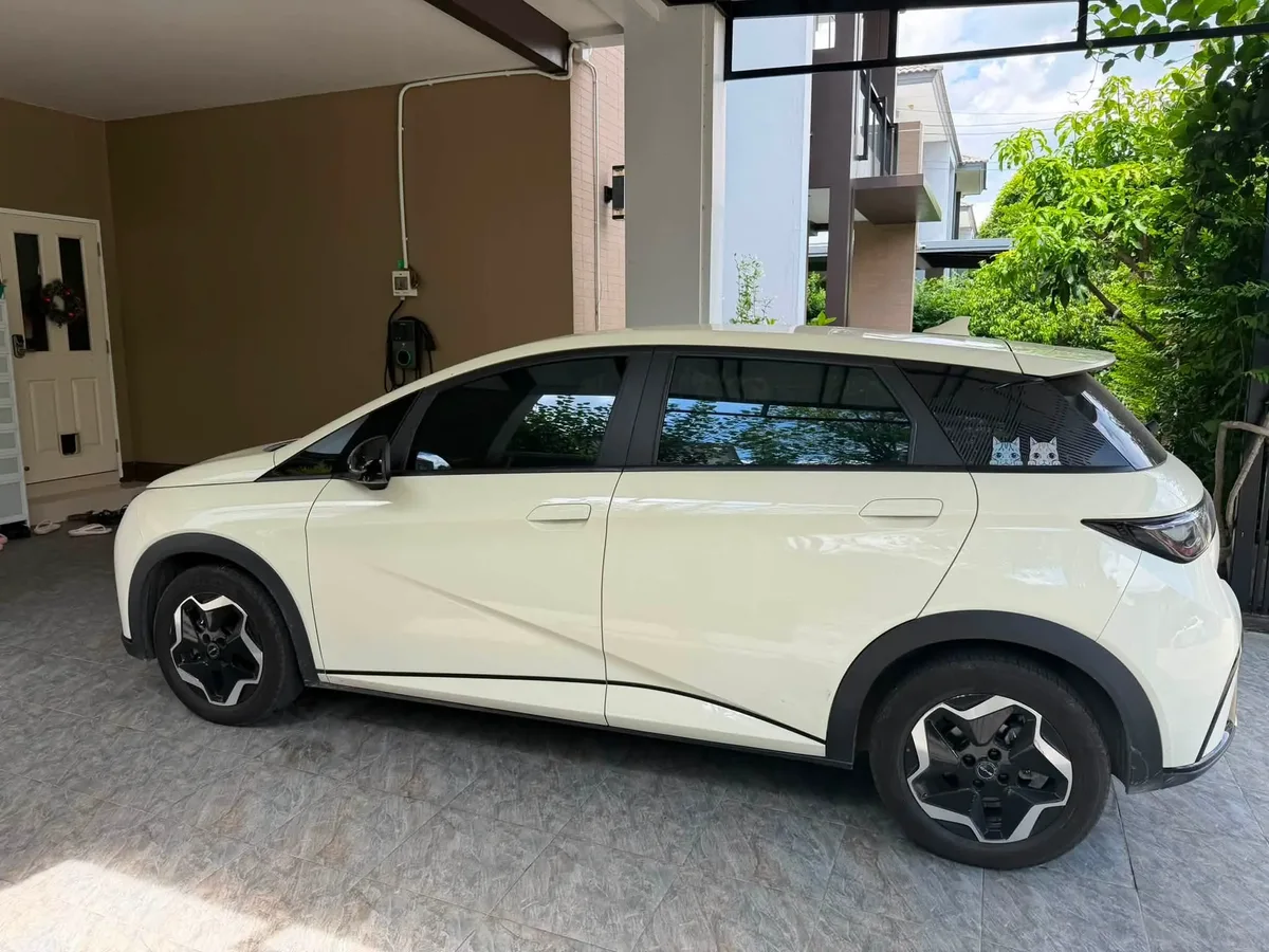 BYD Dolphin Standard ปี 2023 · 3