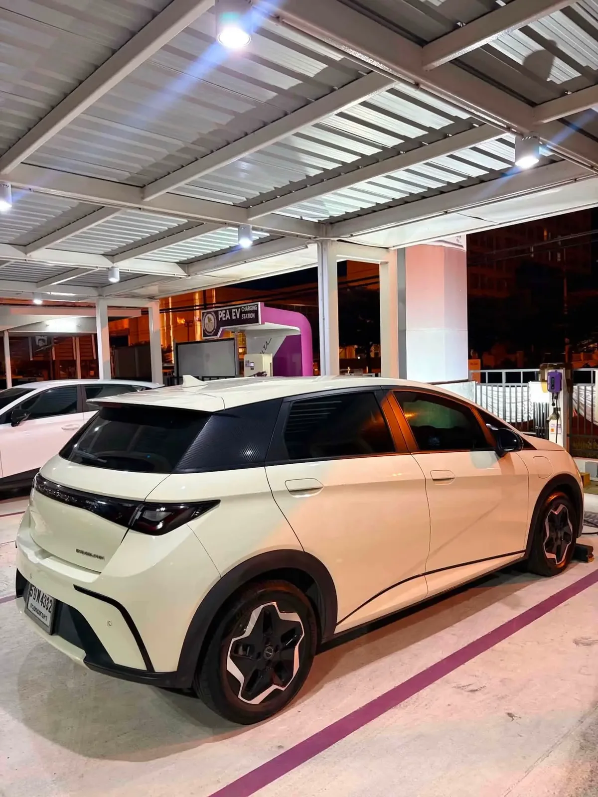 BYD Dolphin Standard ปี 2023 · 3