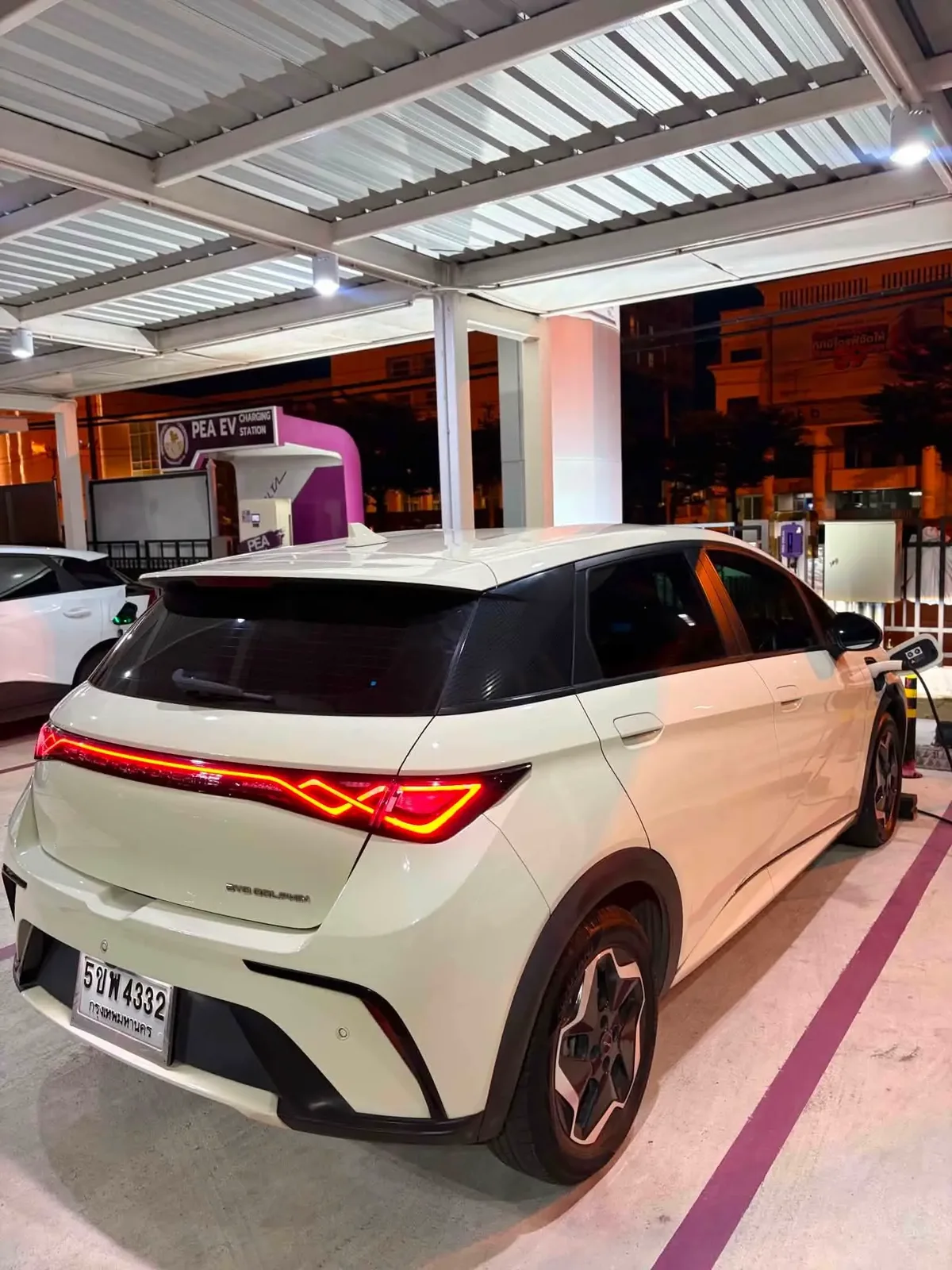 BYD Dolphin Standard ปี 2023 · 2