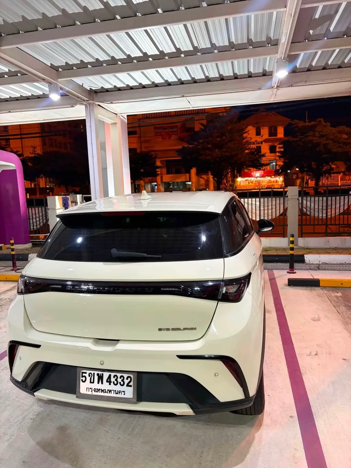 BYD Dolphin Standard ปี 2023 · 4