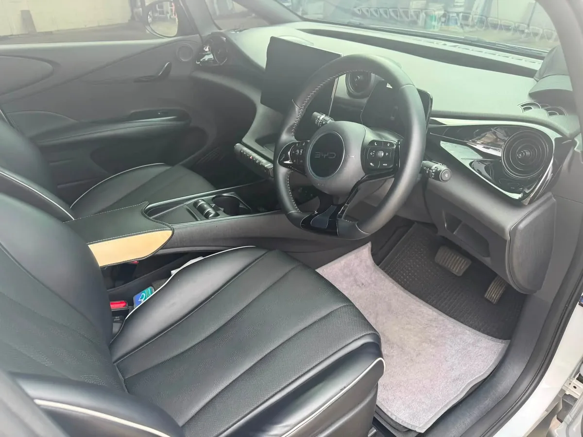 BYD Dolphin Standard ปี 2024 · 5